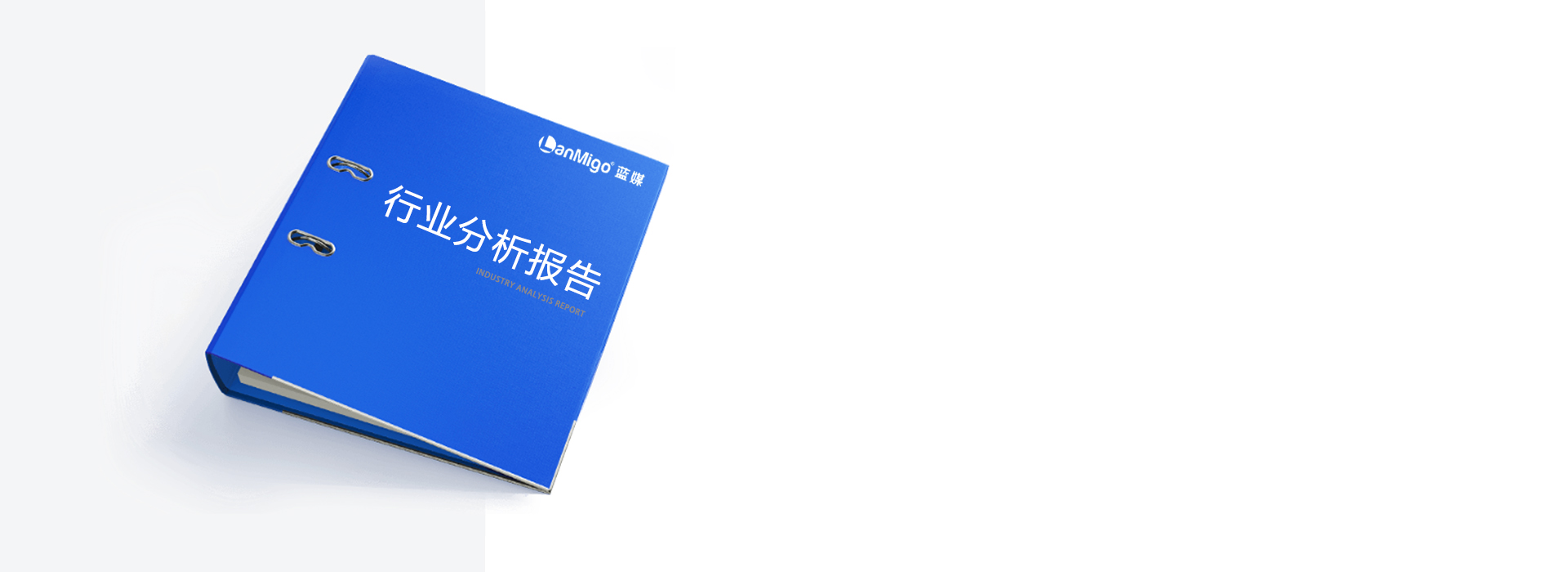 行业分析报告